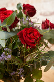 El Romántico - 12 Rosas Rojas