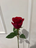 Single Rose