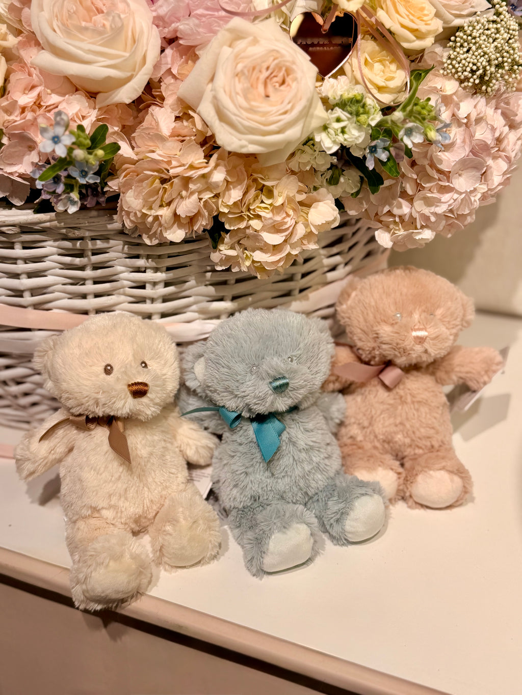 Osset de peluix petit