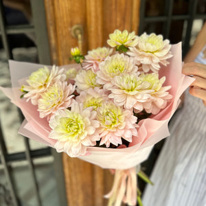 Heavenly Dahlias