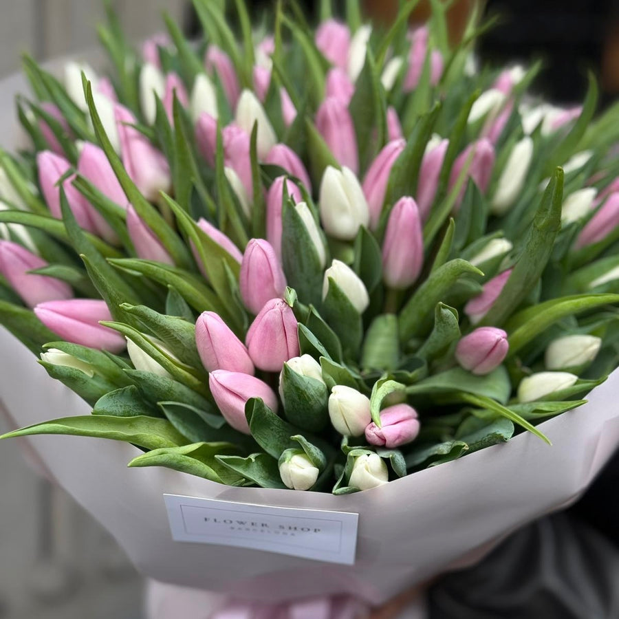 101 Tulipanes