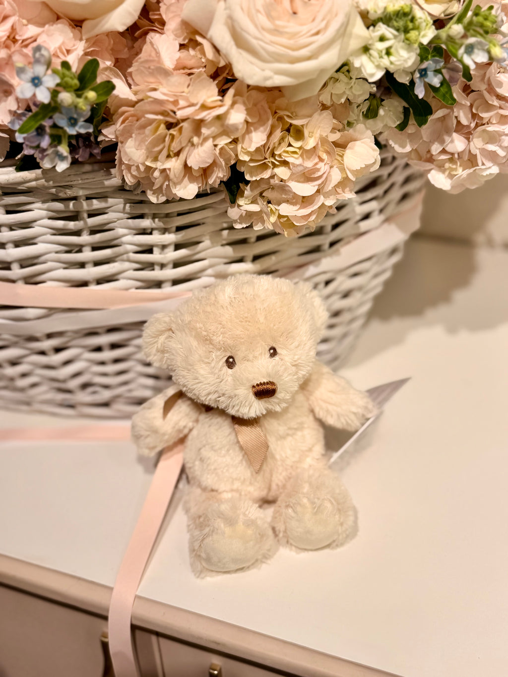 Osset de peluix petit