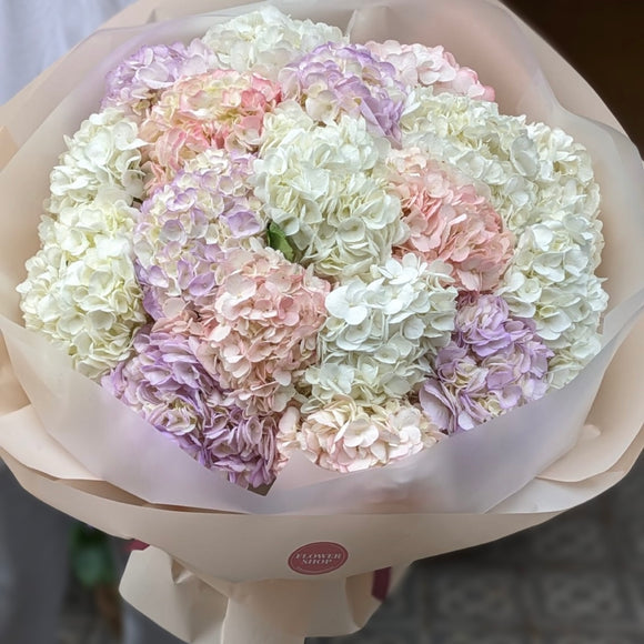 Cotton Candy Hydrangeas