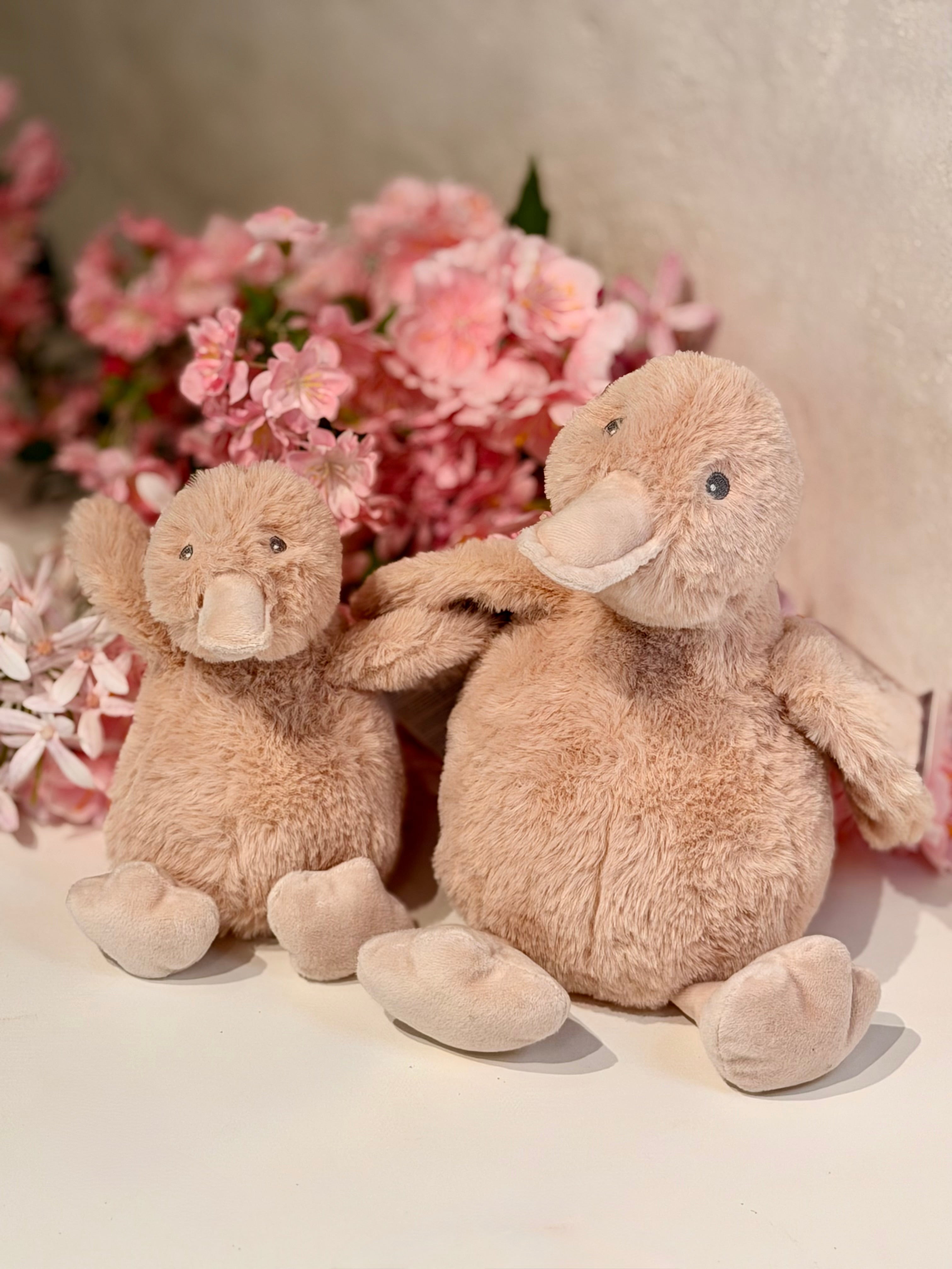 Ànec de peluix suau
