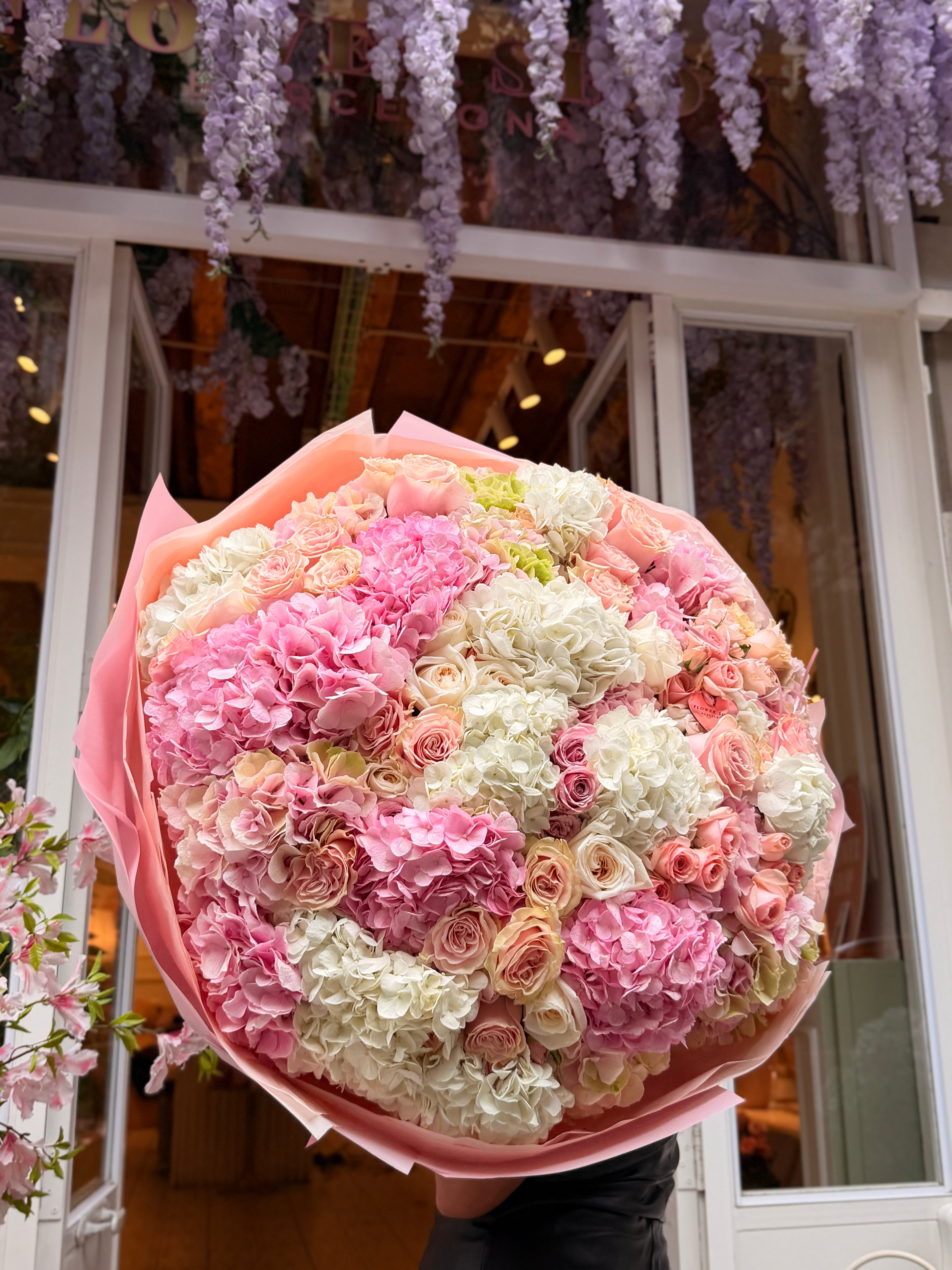 Hortensia Imperial