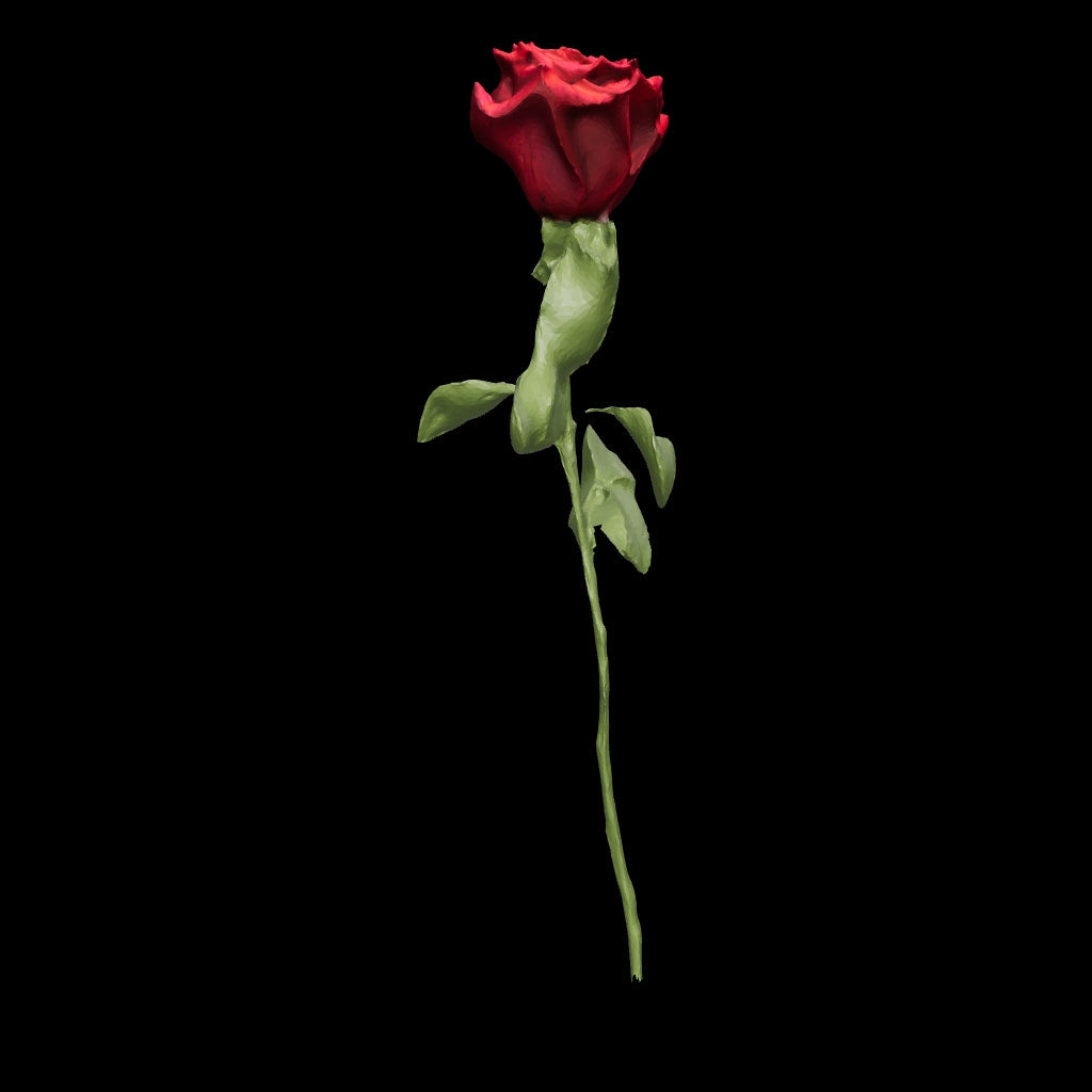 Rojo