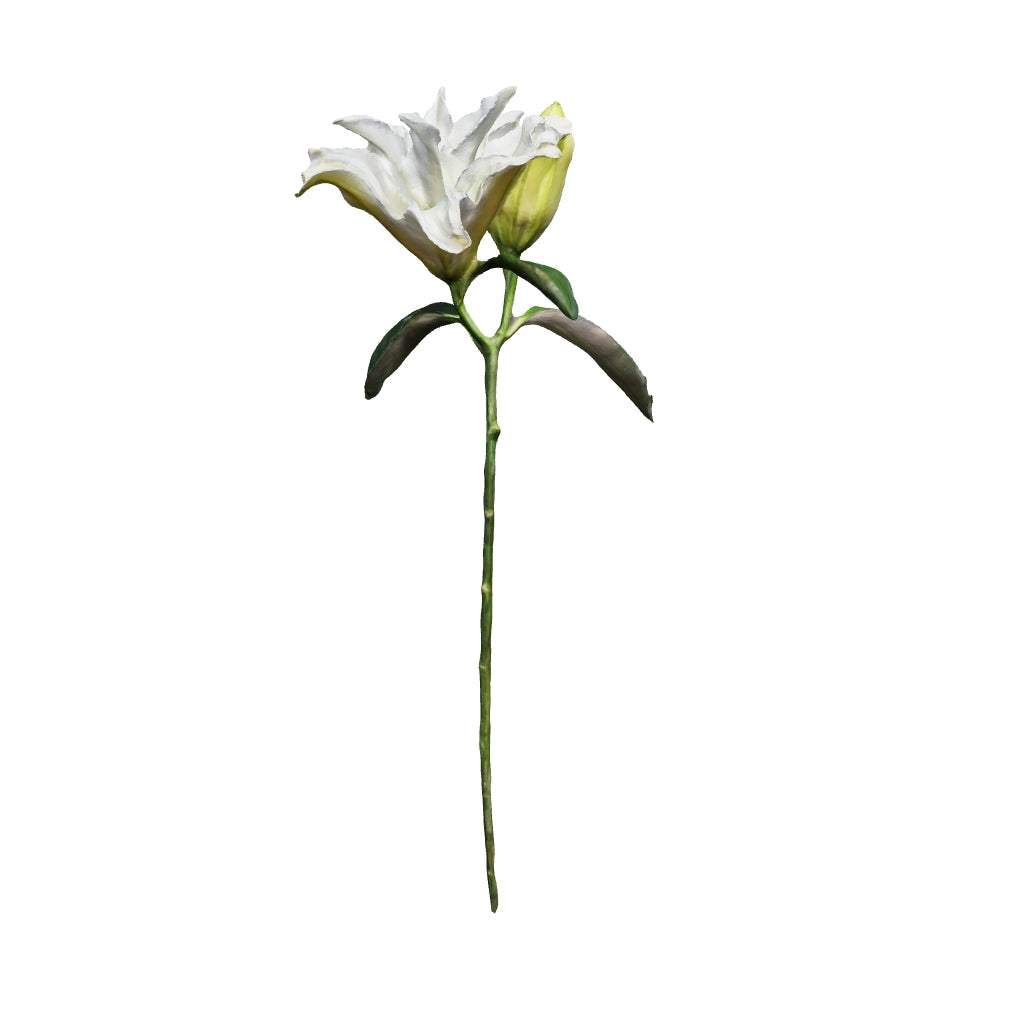 Single Lily