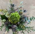 Hortensia Silvestre